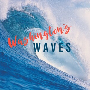 Team Page: Washington's Waves